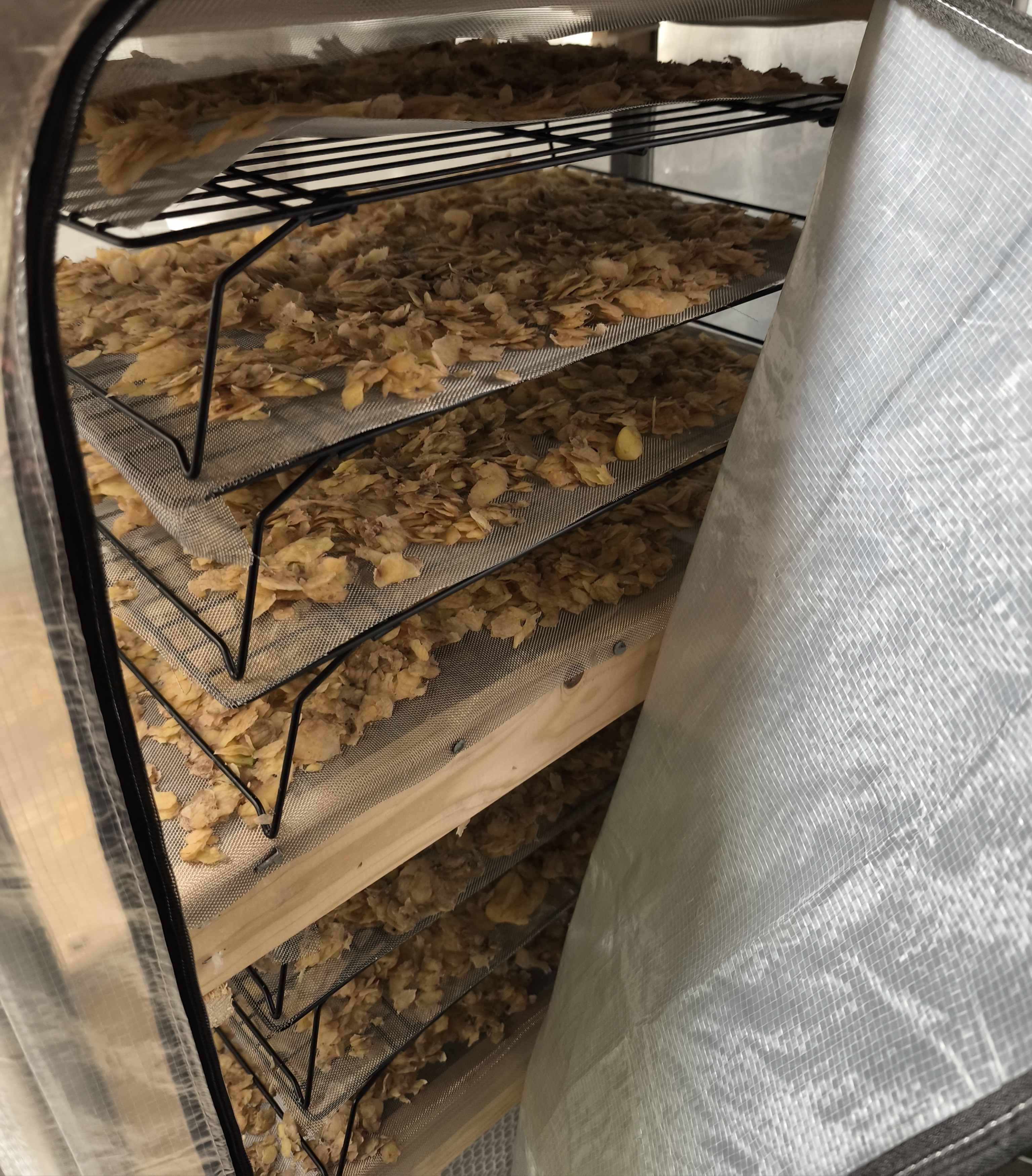 Schonende Trocknung der Kartoffelschalen bei Hof Schmeing